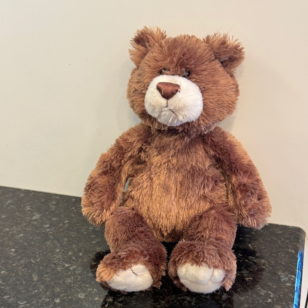 GUND CASEY Teddy Bear 13”BROWN *Limited Edition* Retired!